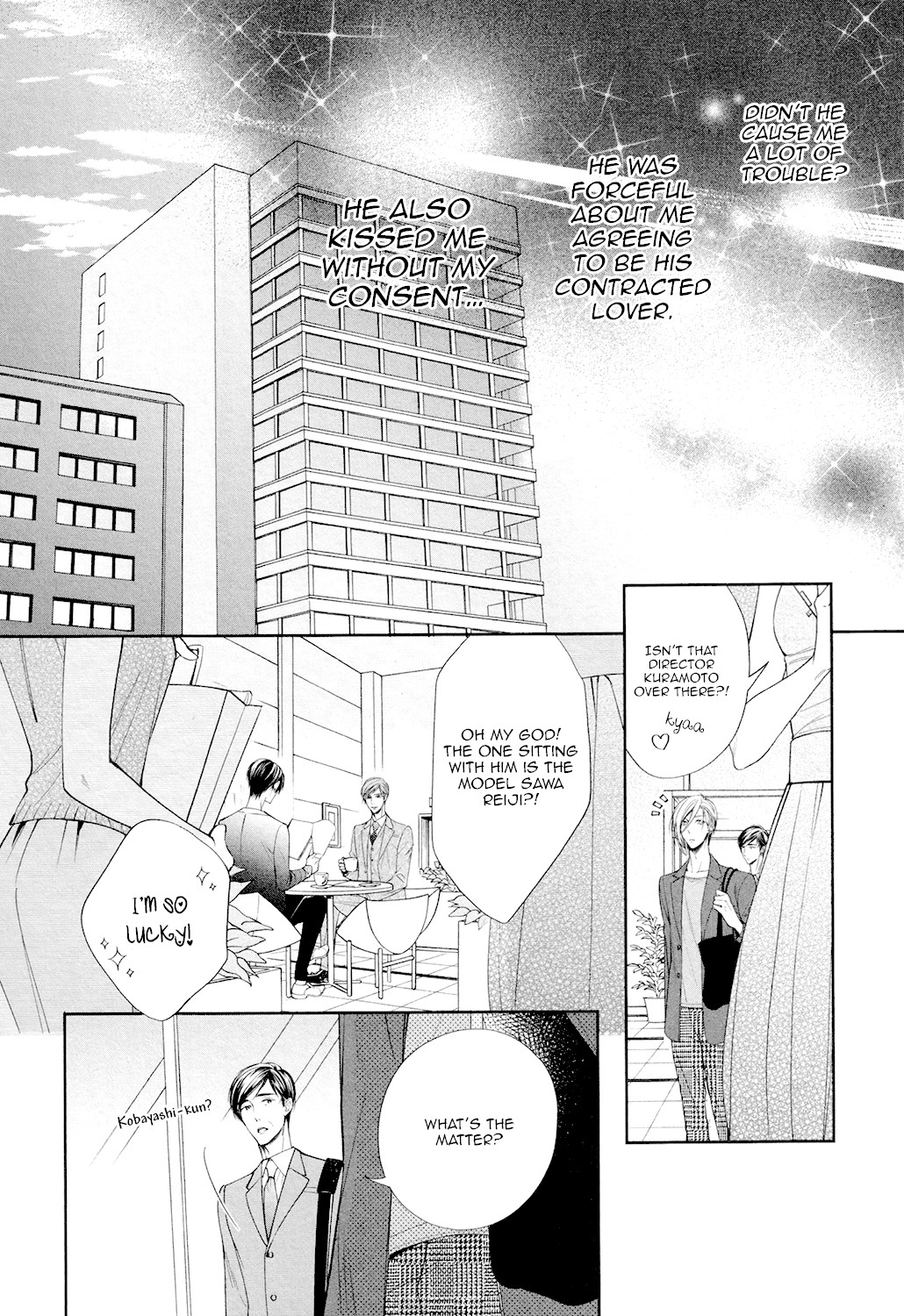 Dekiai Keiyaku Chapter 3 page 17 - Chapter 3