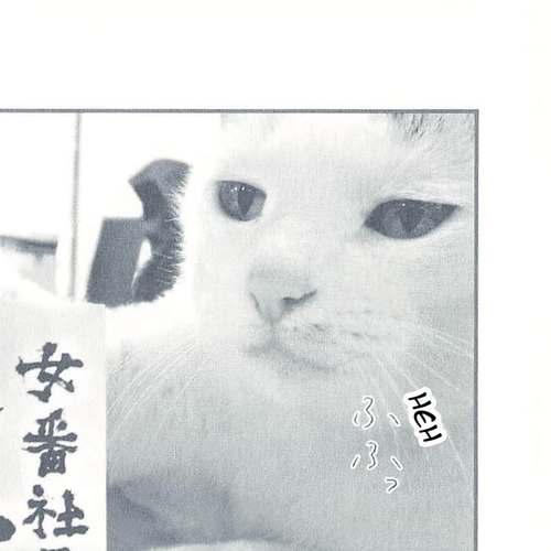 Delinquent President Rena Chapter 13: Business Cards cover