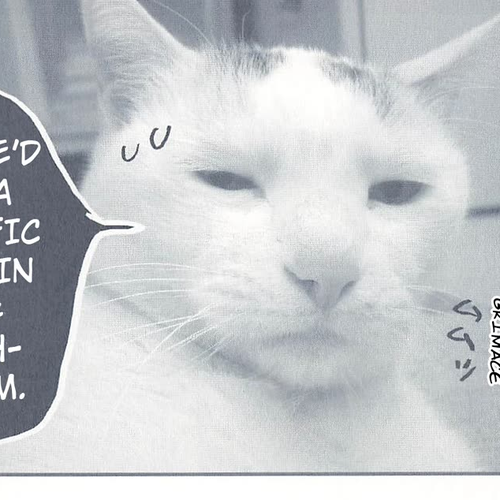 Delinquent President Rena Chapter 15: Clone 1 cover