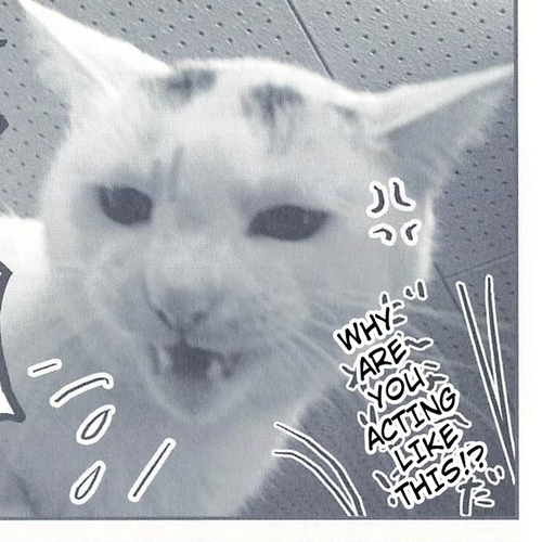 Delinquent President Rena Chapter 19: Seal cover
