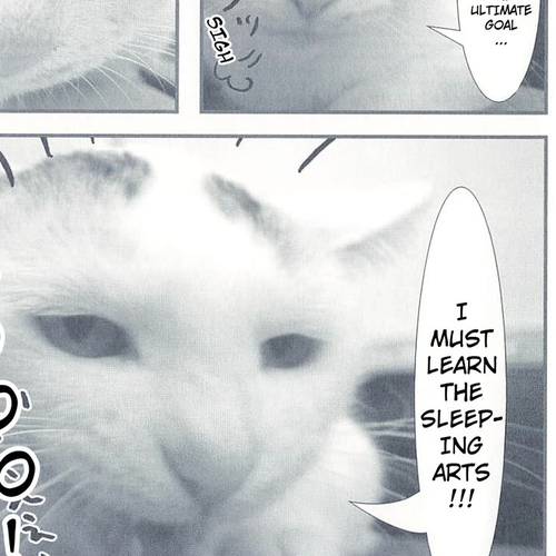 Delinquent President Rena Chapter 21: For Tomorrow 2 cover