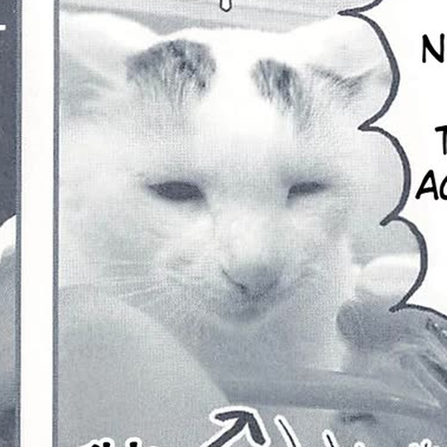 Delinquent President Rena Chapter 22: Lovable cover