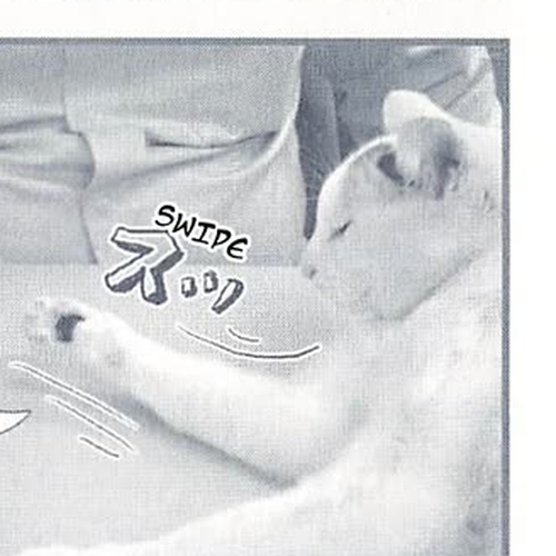 Delinquent President Rena Chapter 30: Squishy Toes cover