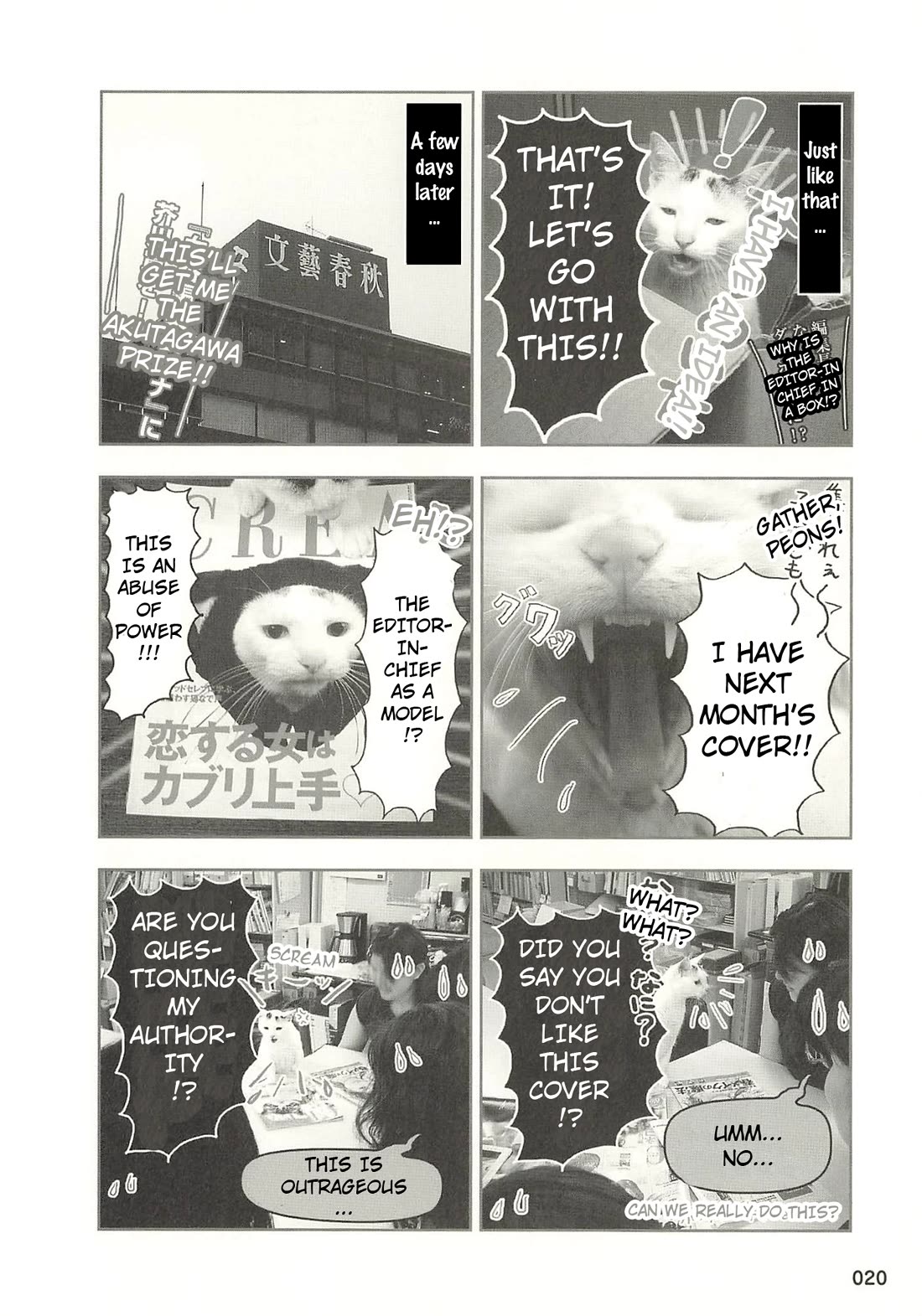 Delinquent President Rena Chapter 33 page 5 - Chapter 33: The birth of the first cat editor-in-chief.
