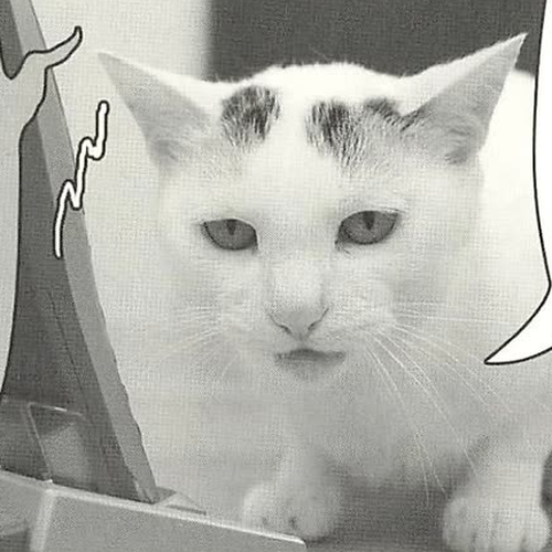 Delinquent President Rena Chapter 33: The birth of the first cat editor-in-chief. cover