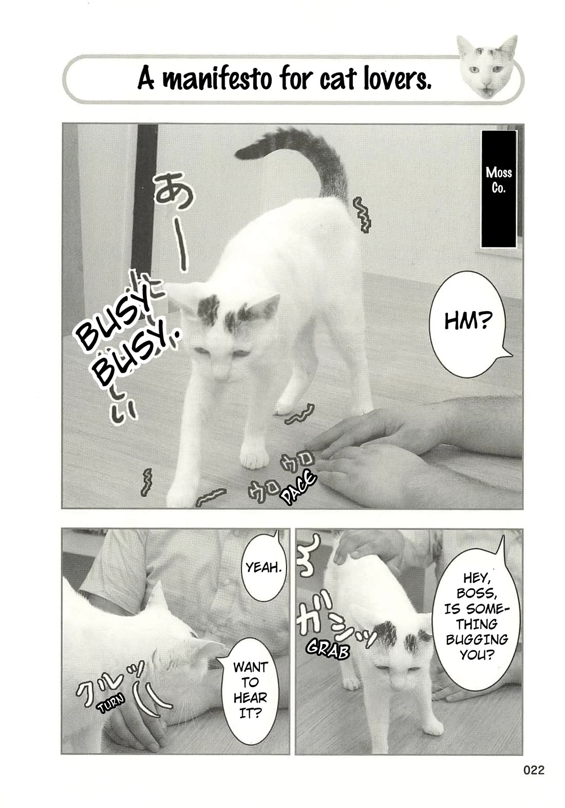 Delinquent President Rena Chapter 34 page 1 - Chapter 34: A manifesto for cat lovers.