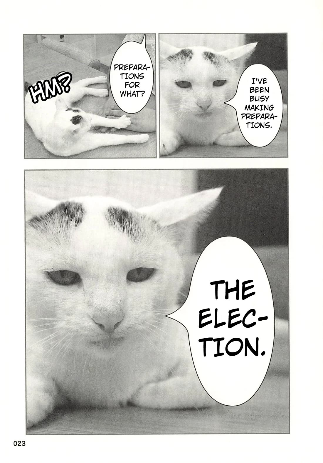 Delinquent President Rena Chapter 34 page 2 - Chapter 34: A manifesto for cat lovers.