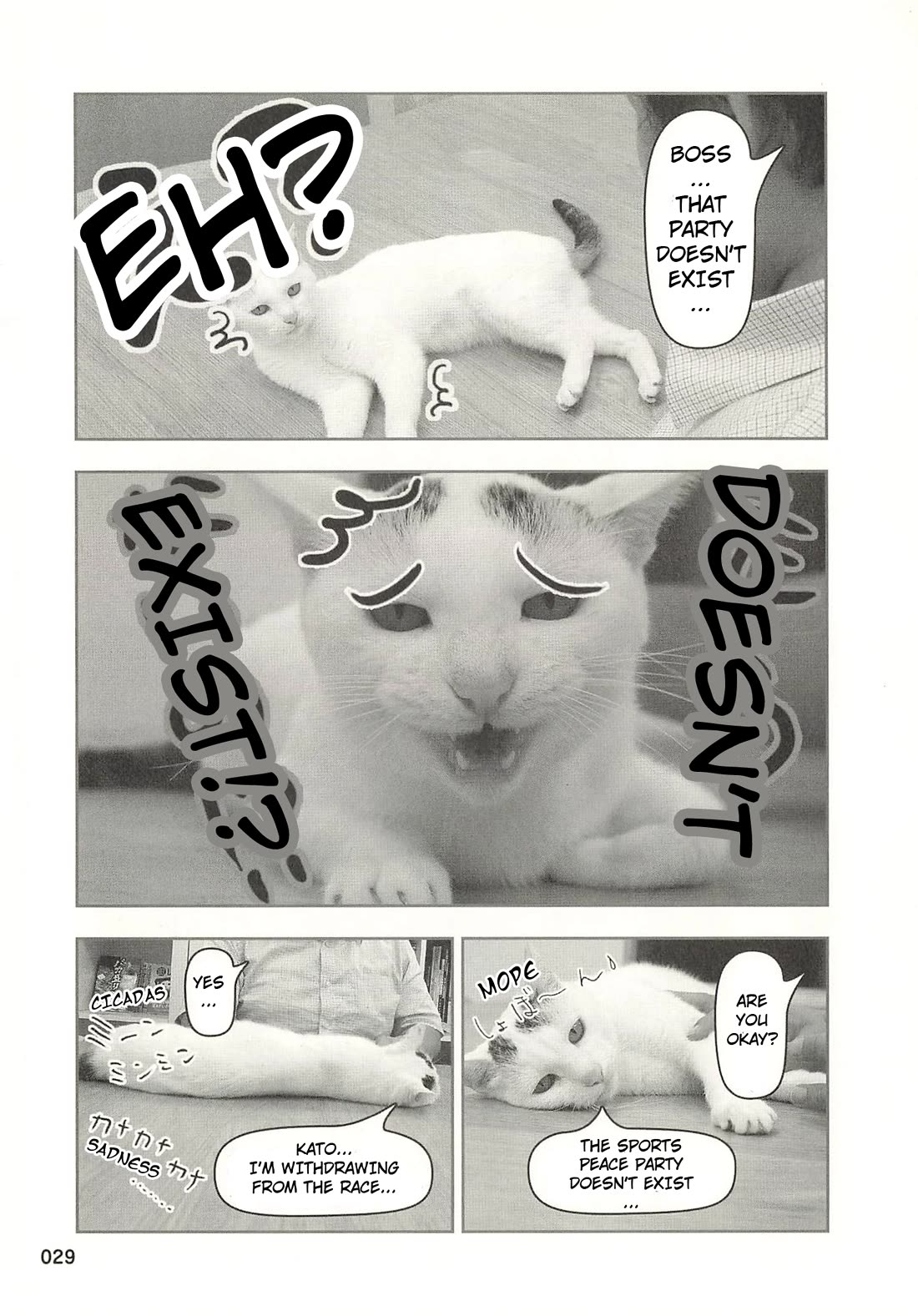 Delinquent President Rena Chapter 34 page 8 - Chapter 34: A manifesto for cat lovers.
