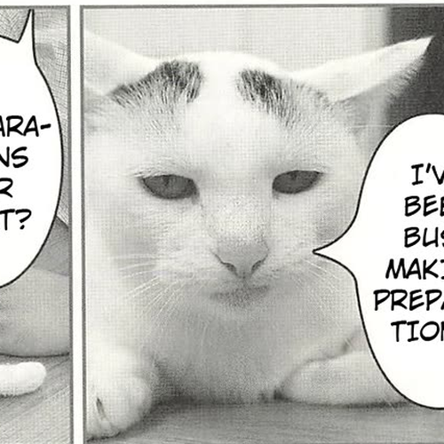 Delinquent President Rena Chapter 34: A manifesto for cat lovers. cover