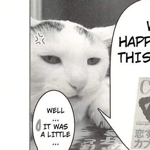 Delinquent President Rena Chapter 36: The cat came back. cover