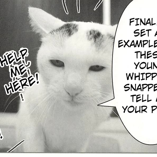Delinquent President Rena Chapter 37: A bloody planning meeting. cover