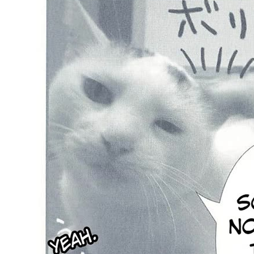 Delinquent President Rena Chapter 4: Negotiations cover