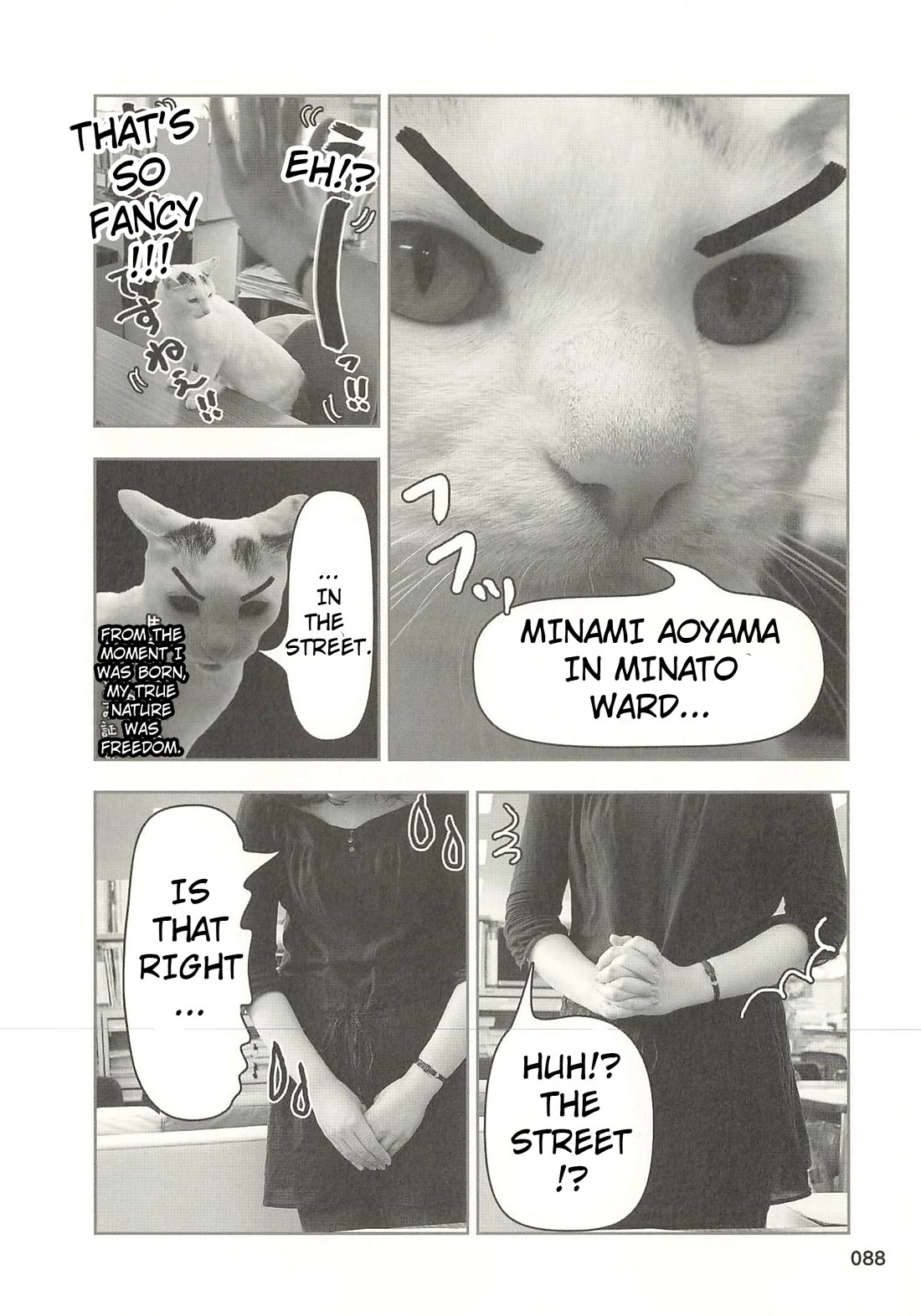Delinquent President Rena Chapter 41 page 7 - Chapter 41: Mature celebrities hate to lose!?