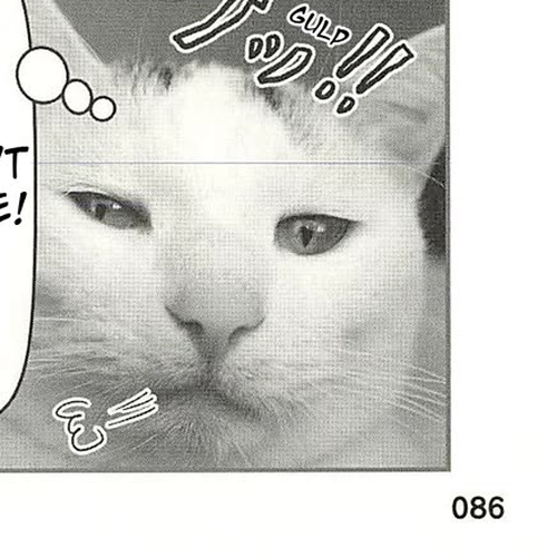 Delinquent President Rena Chapter 41: Mature celebrities hate to lose!? cover