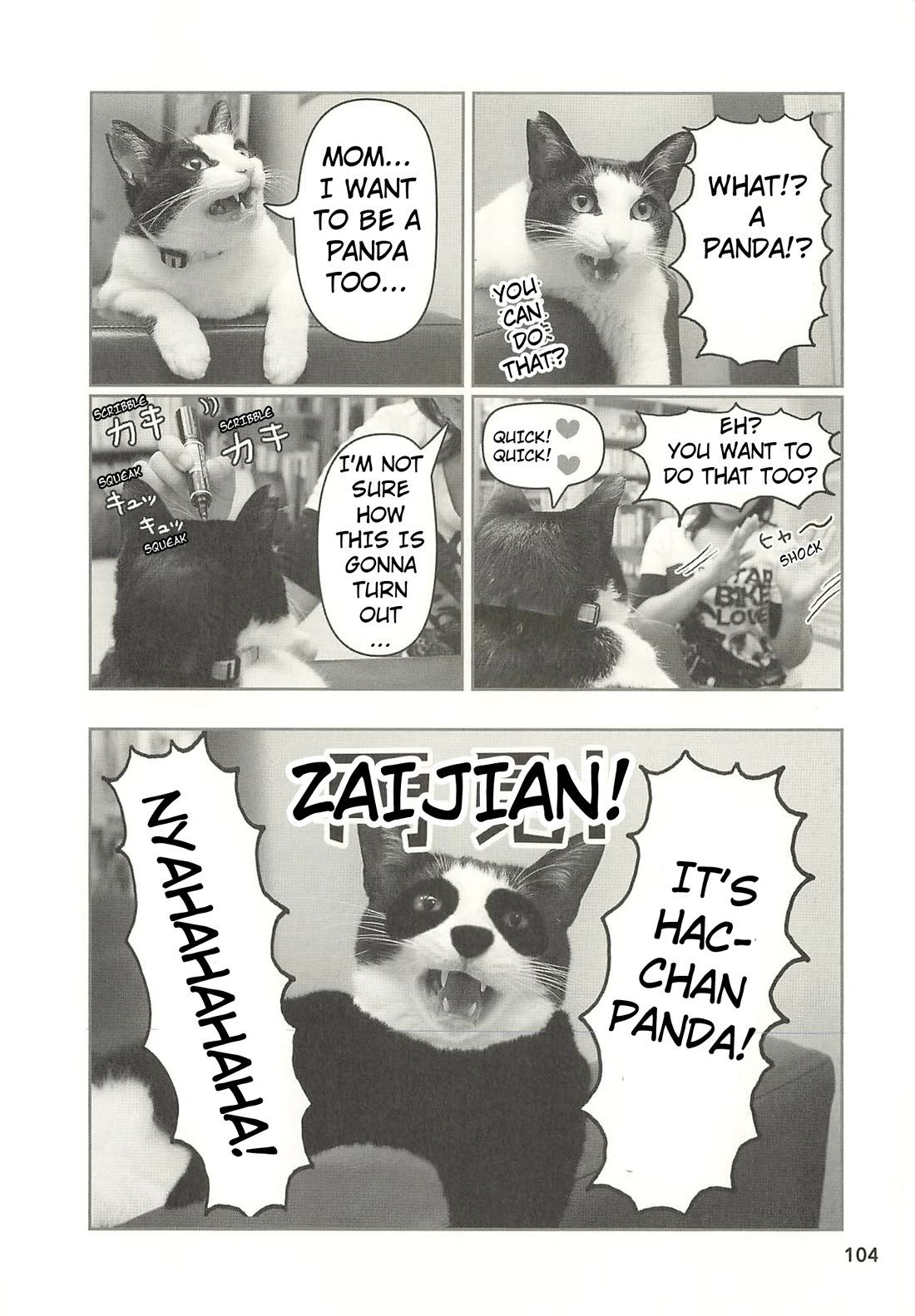 Delinquent President Rena Chapter 42 page 13 - Chapter 42: Hacchan is here!