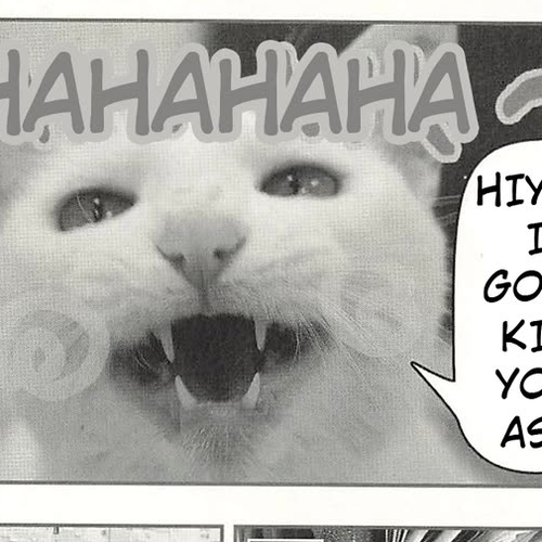 Delinquent President Rena Chapter 42: Hacchan is here! cover