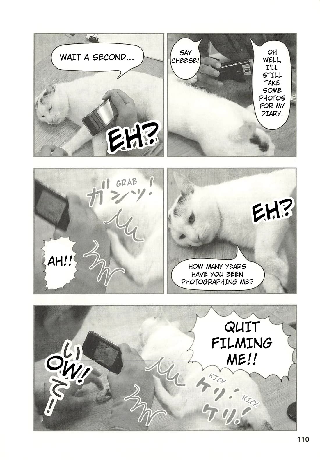 Delinquent President Rena Chapter 43 page 5 - Chapter 43: If I could be reborn...