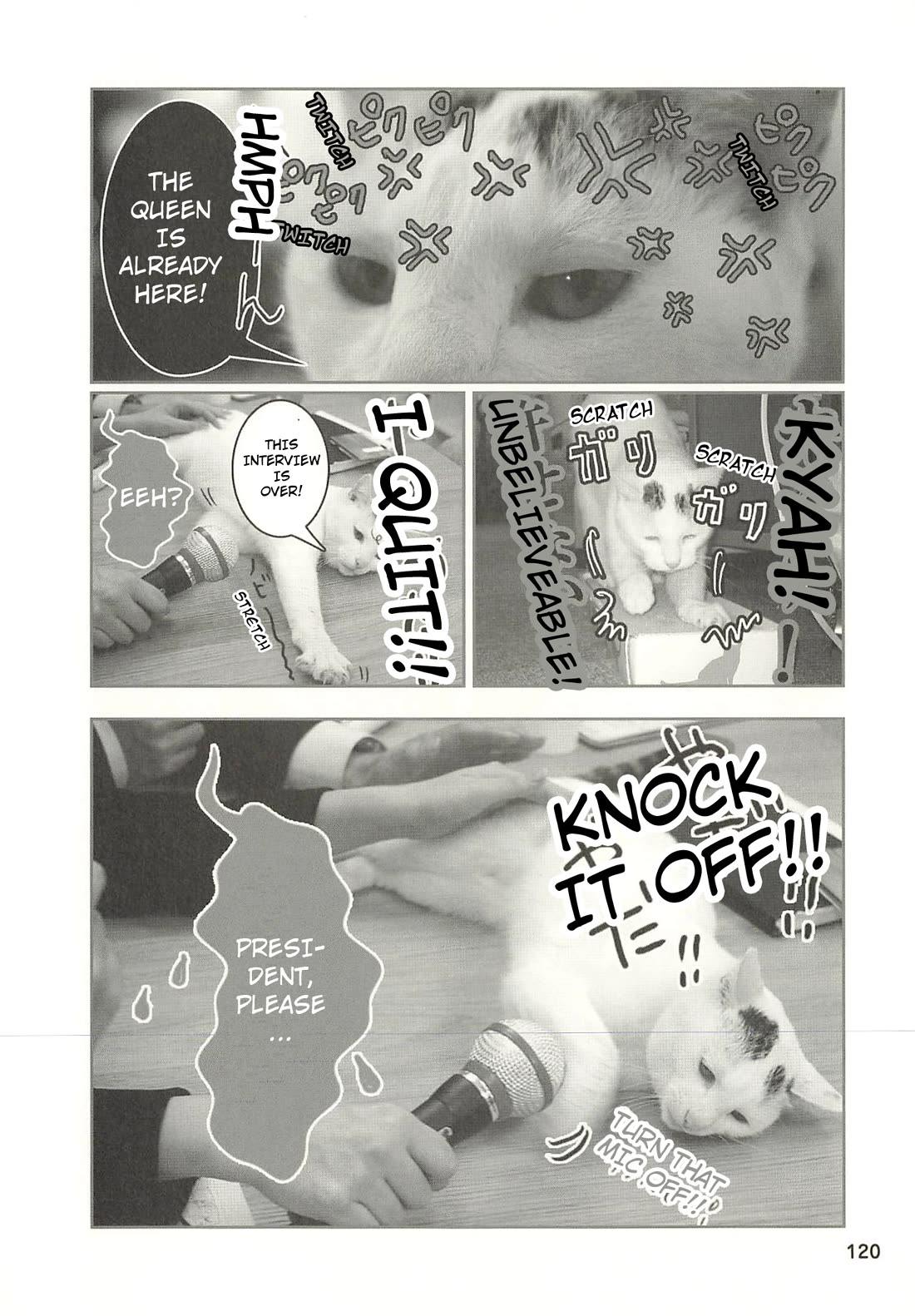 Delinquent President Rena Chapter 44 page 5 - Chapter 44: She is a celebrity after all.