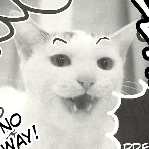 Delinquent President Rena Chapter 45: CREA editorial department's iron rule. cover