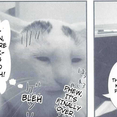 Delinquent President Rena Chapter 5: Planning Meeting cover