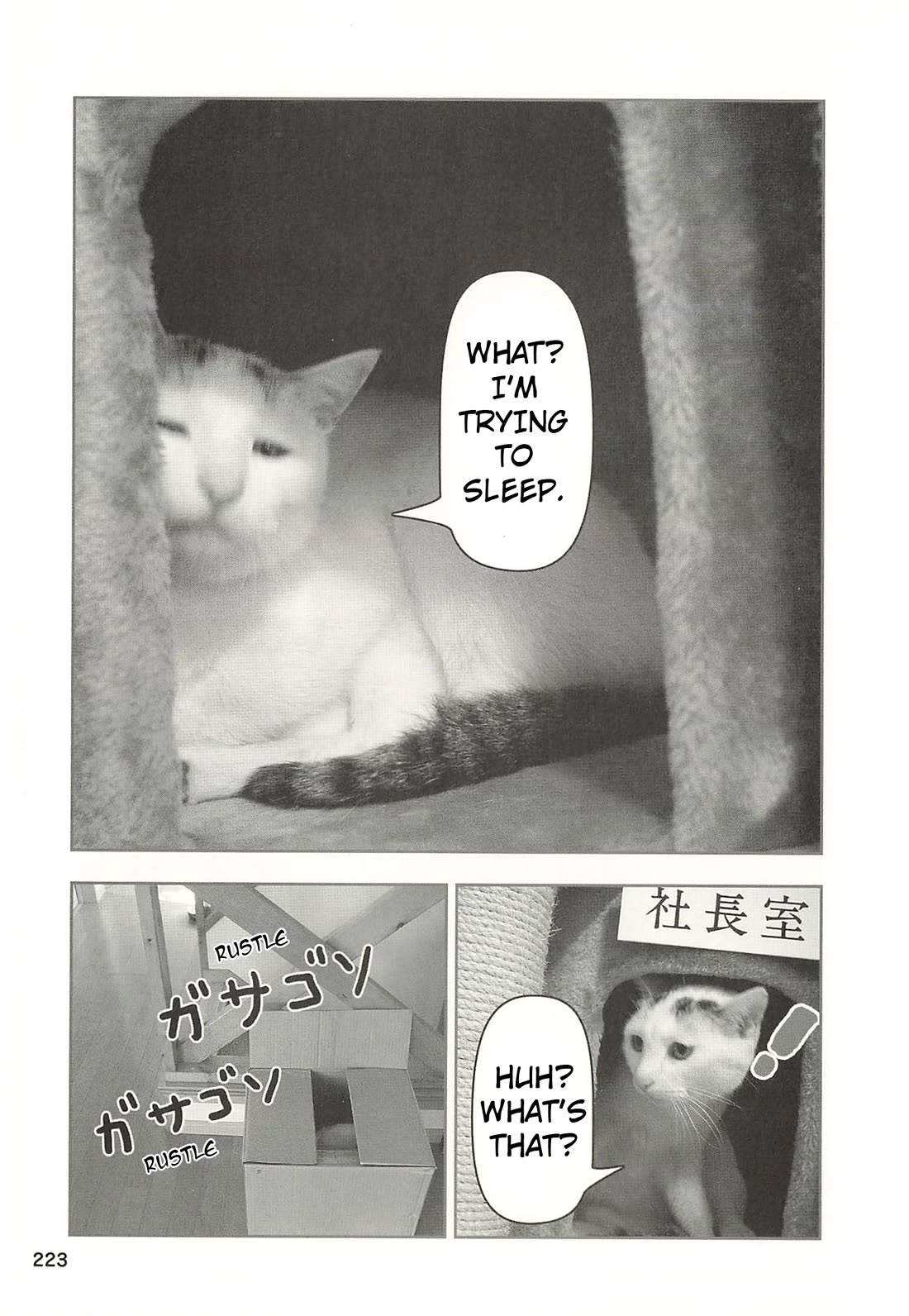 Delinquent President Rena Chapter 53 page 4 - Chapter 53: An unforgettable president's office.