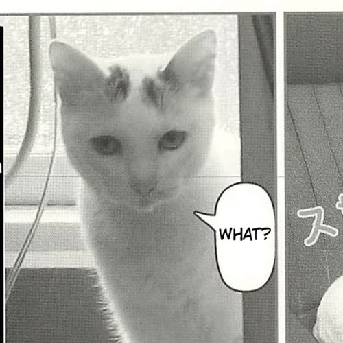Delinquent President Rena Chapter 55: Carefree. cover