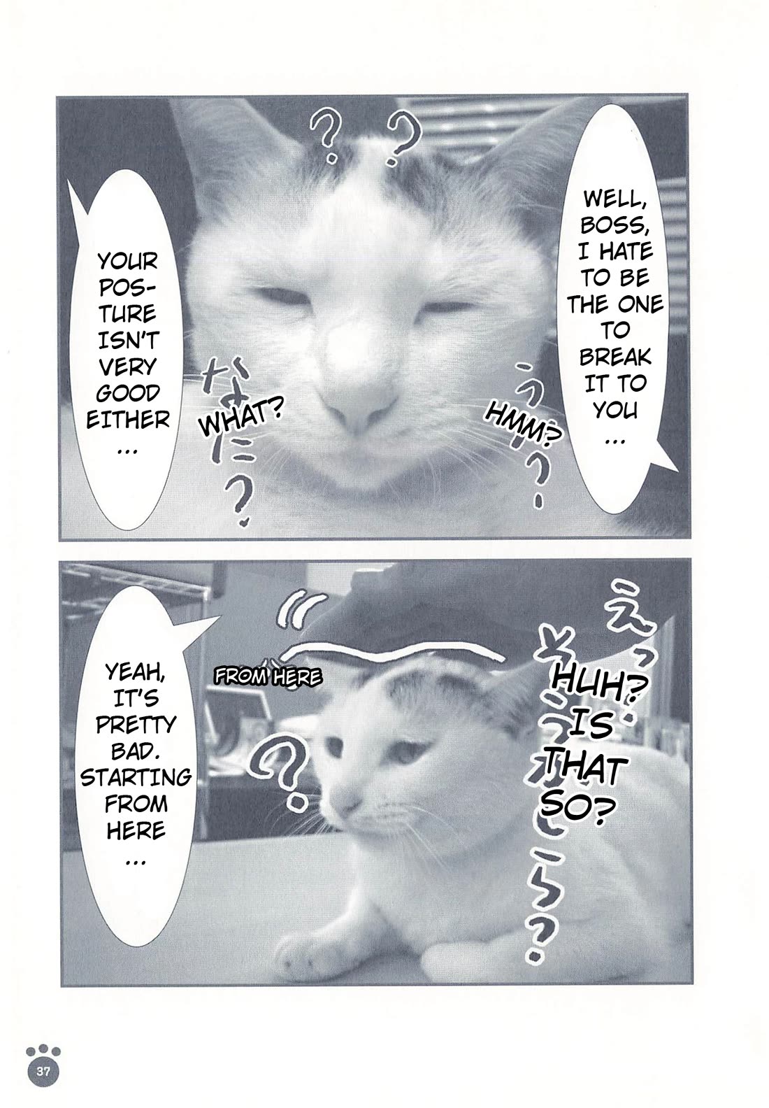 Delinquent President Rena Chapter 7 page 2 - Chapter 7: Posture
