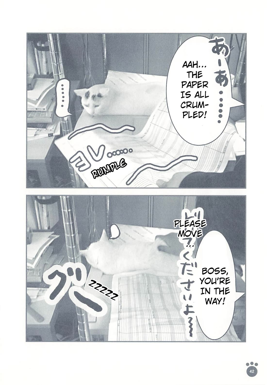 Delinquent President Rena Chapter 8 page 3 - Chapter 8: Printer