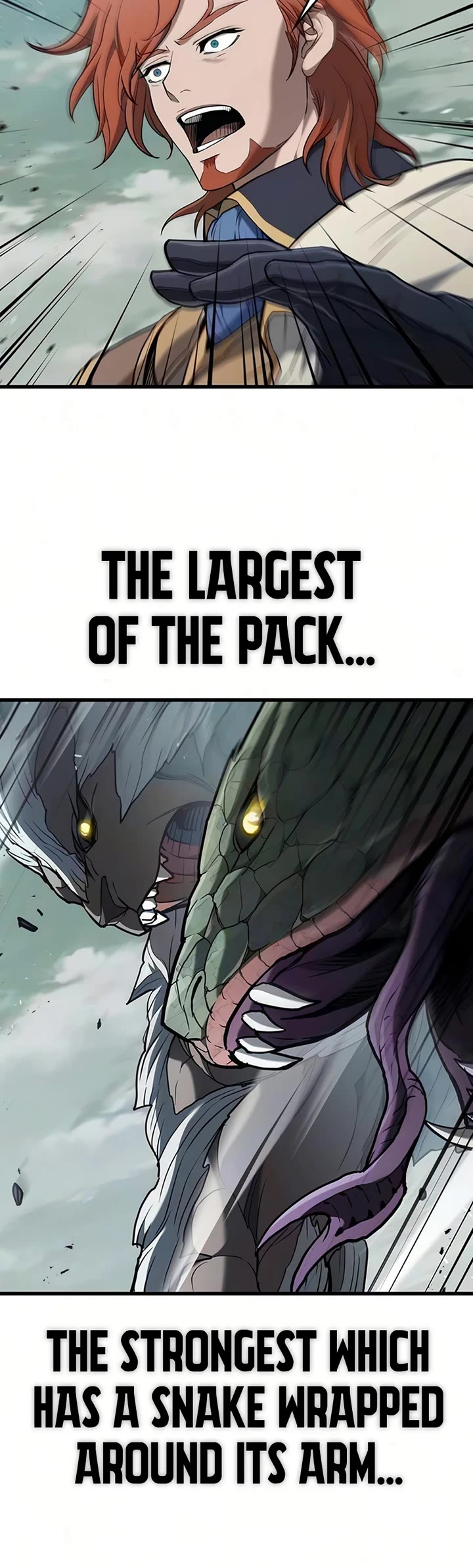 Demonic Beast Hunter Survival Guide Chapter 16 page 22 - Chapter 16