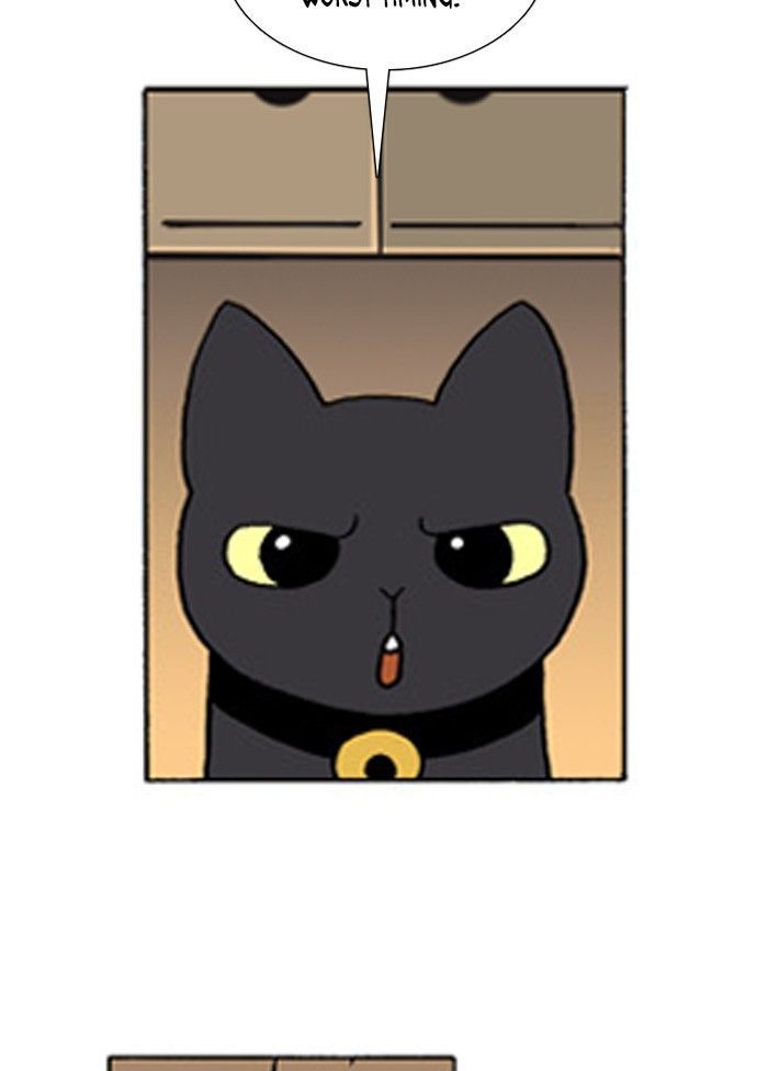 Denma Chapter 228 page 19 - Chapter 228