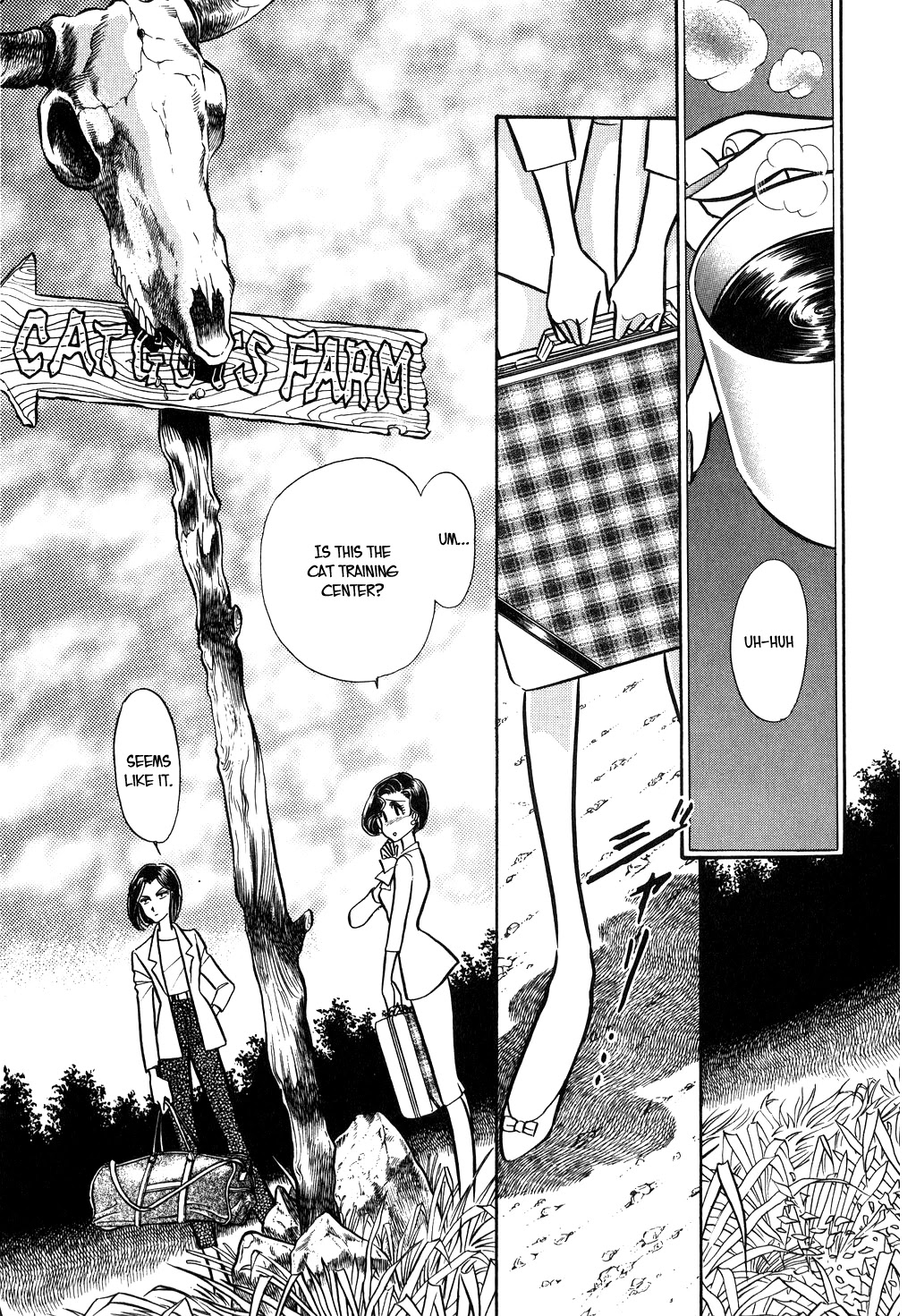Desert Rose Chapter 96 page 5 - Chapter 96: The Parallel View (1)