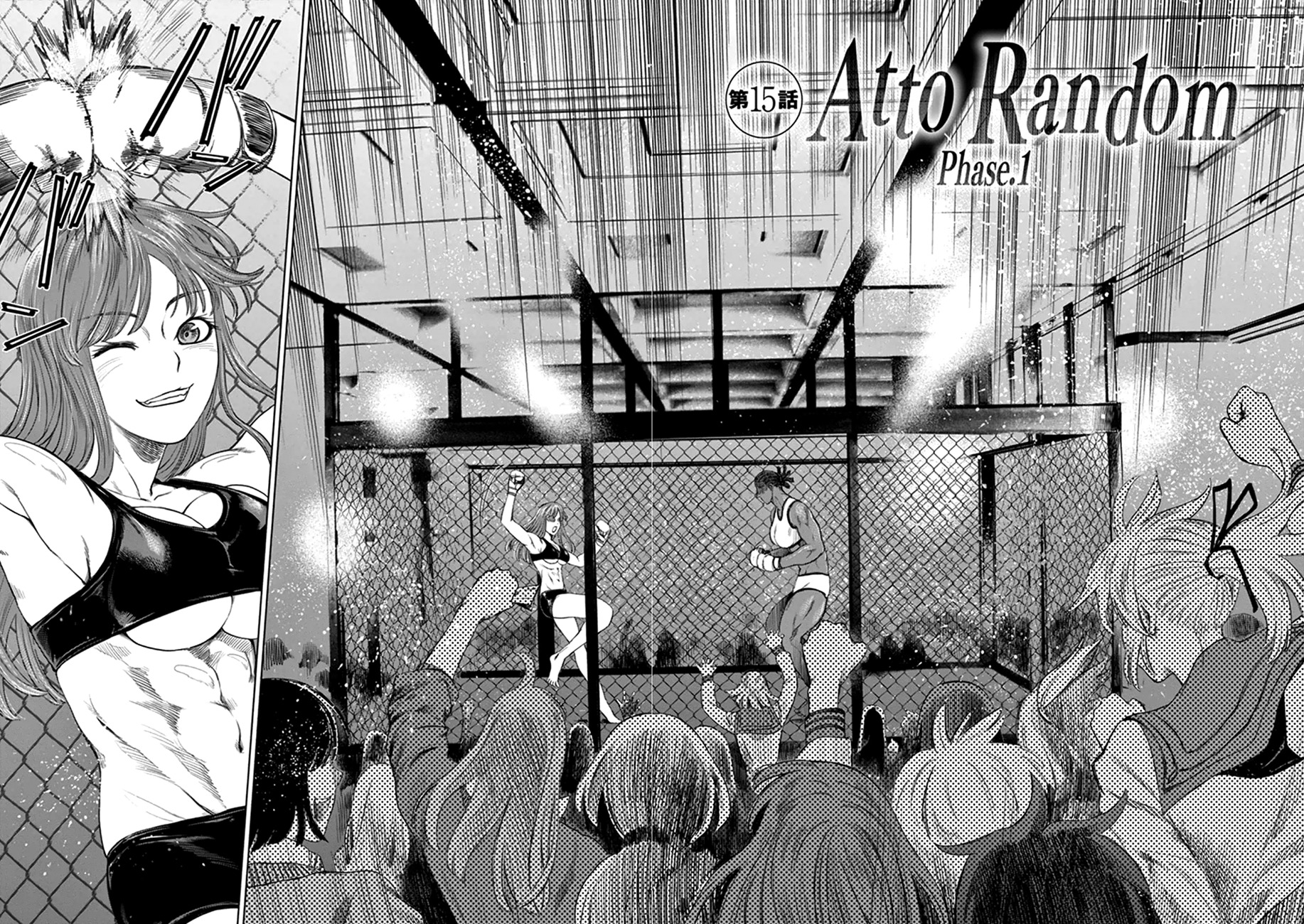 Desutoro 246 Chapter 15 page 3 - Chapter 15: Atto Random Phase.1