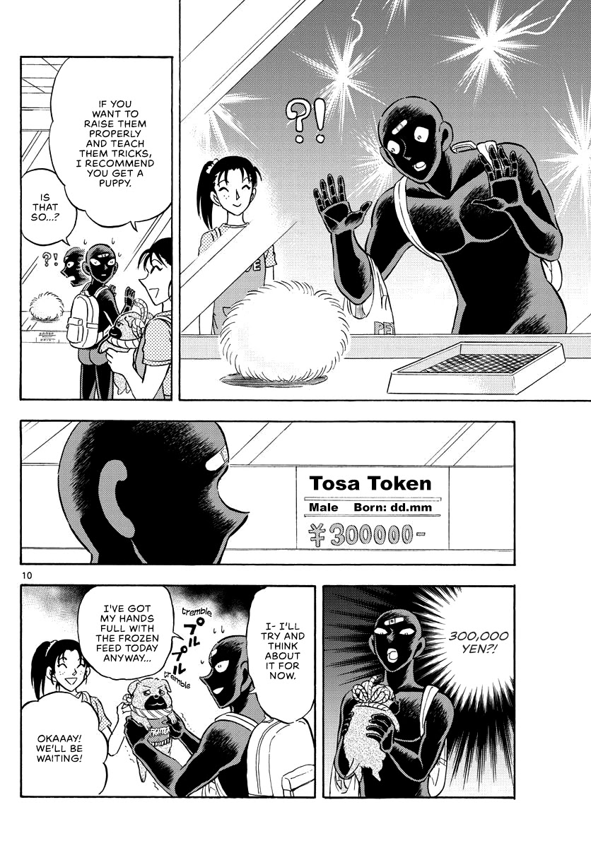 Detective Conan: Hanzawa the Criminal Chapter 14 page 10 - Chapter 14: Next Conan's Hint: Hairball