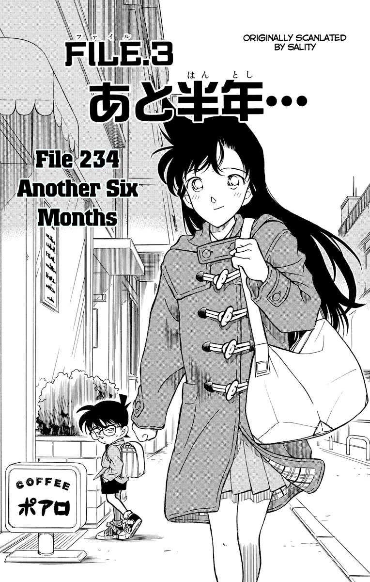 Detective Conan Chapter 234 page 2 - Chapter 234: Another Six Months