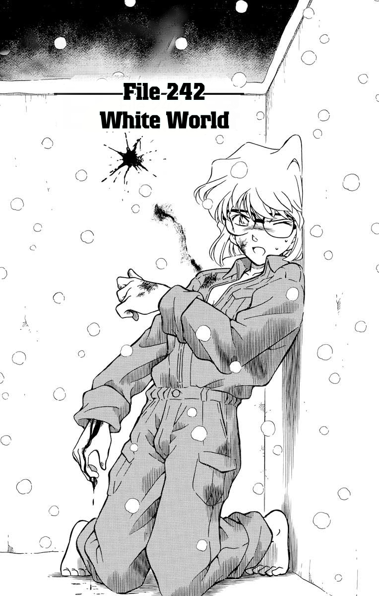 Detective Conan Chapter 242 page 2 - Chapter 242: White World