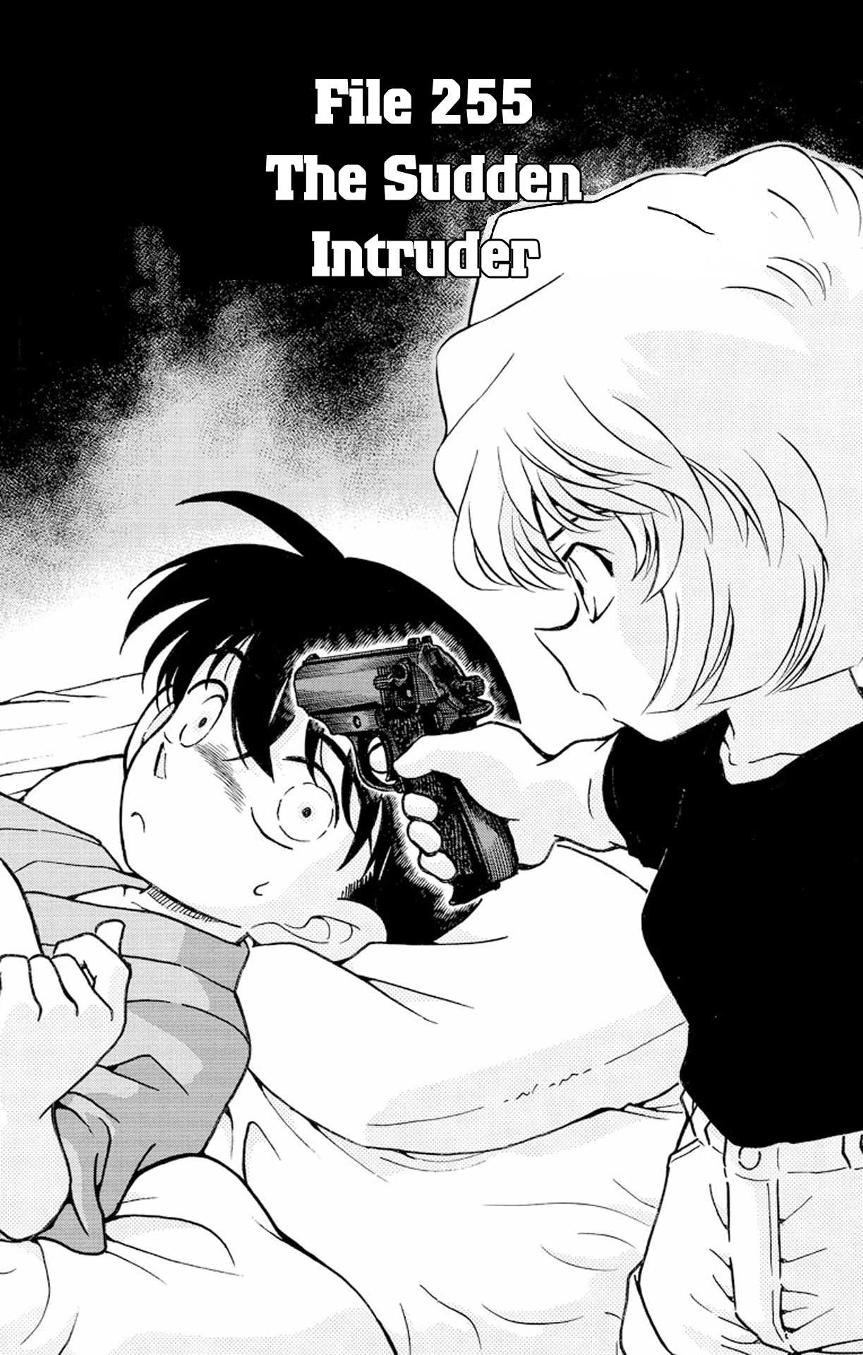 Detective Conan Chapter 255 page 2 - Chapter 255: The Sudden Intruder