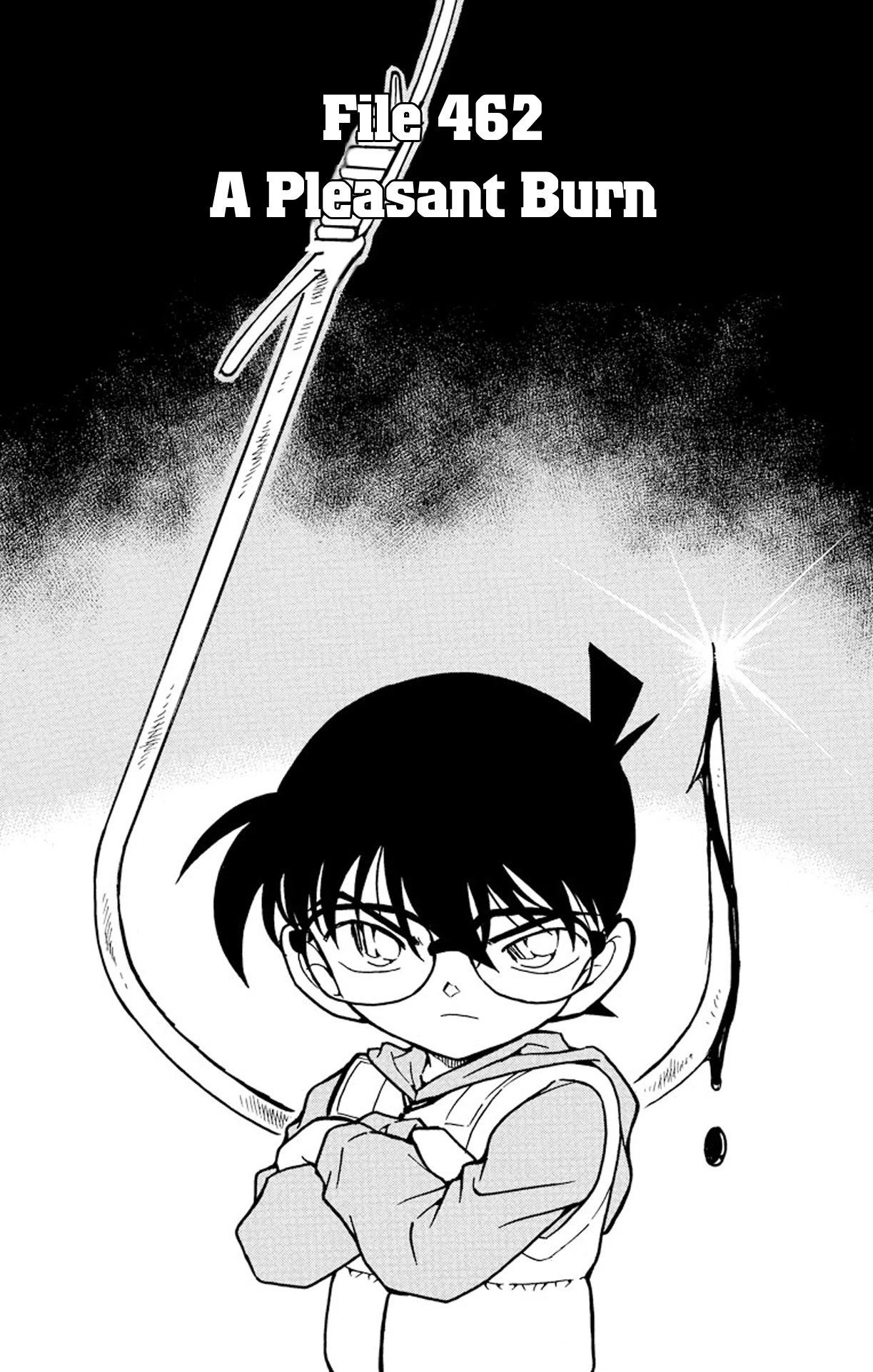 Detective Conan Chapter 462 page 2 - Chapter 462: A Pleasant Burn