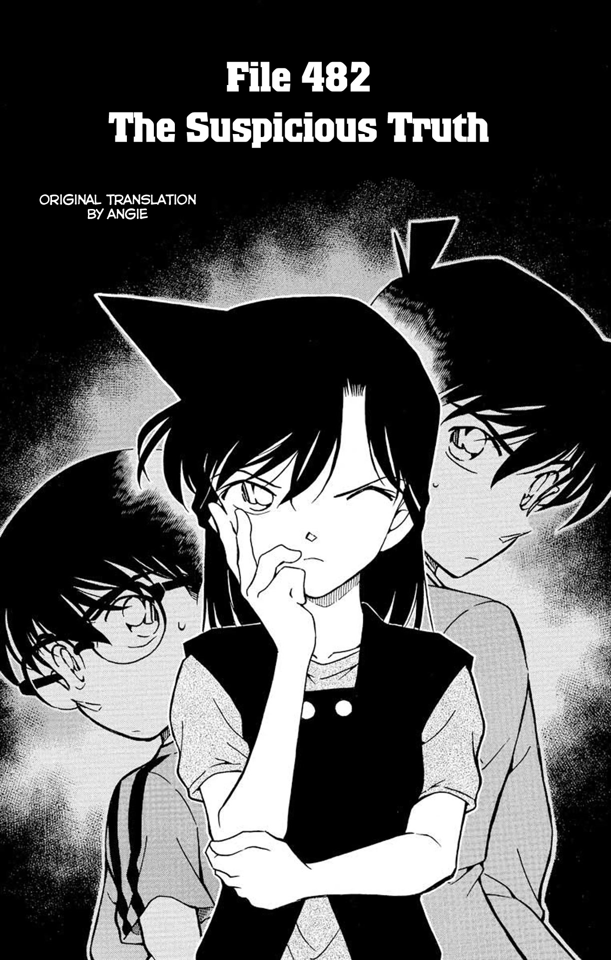 Detective Conan Chapter 482 page 2 - Chapter 482: The Suspicious Truth
