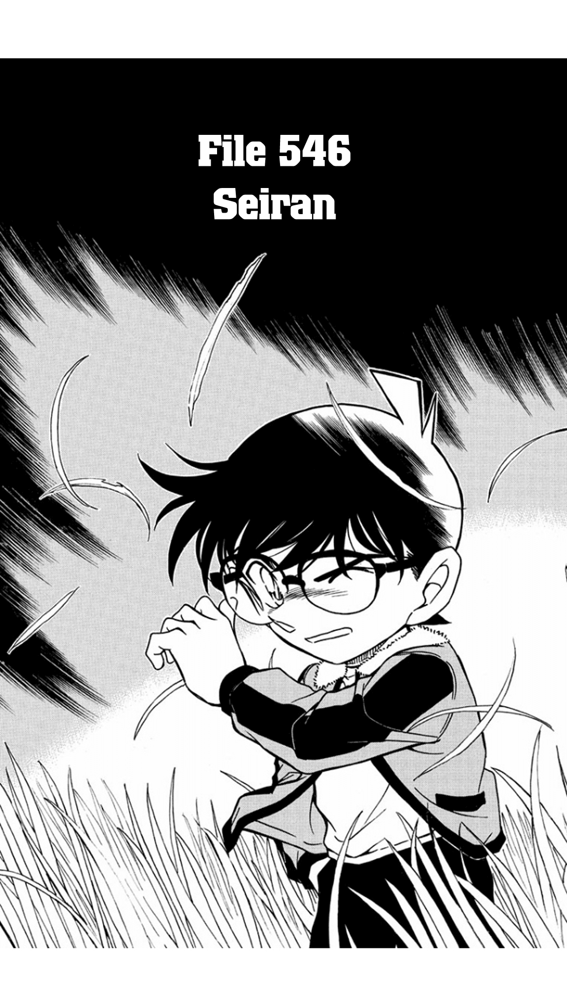 Detective Conan Chapter 546 page 2 - Chapter 546: Seiran