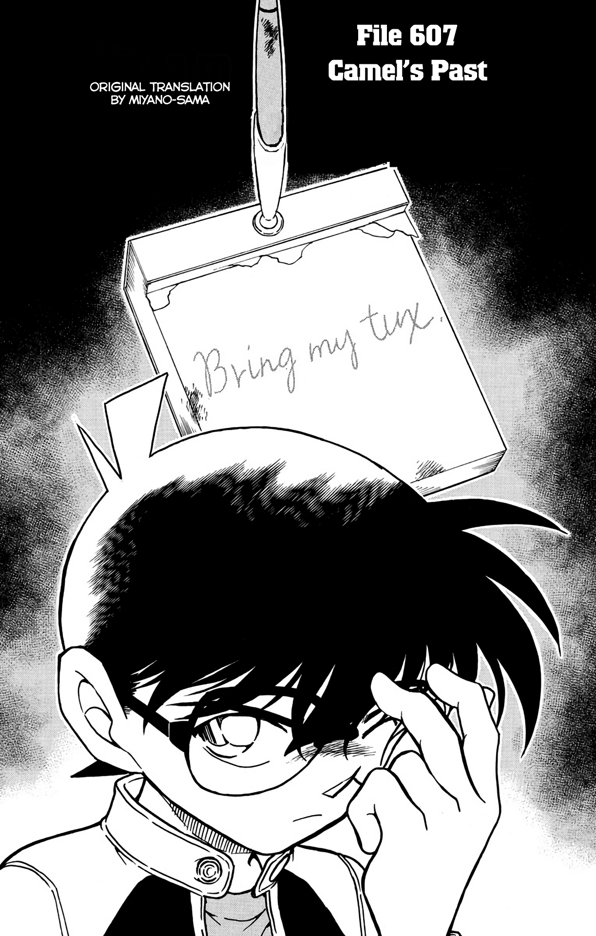 Detective Conan Chapter 607 page 2 - Chapter 607: Camel's Past