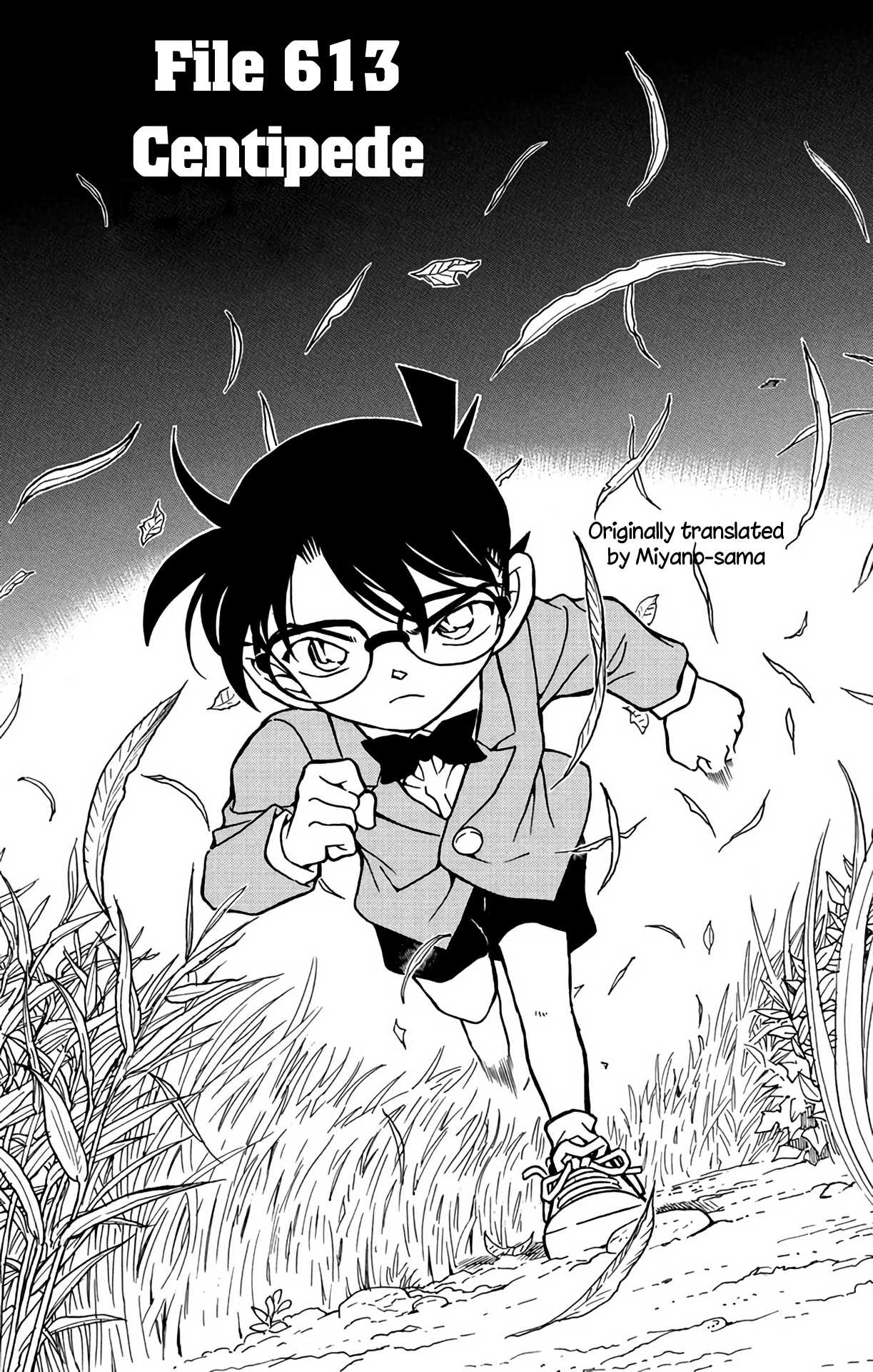 Detective Conan Chapter 613 page 2 - Chapter 613: Centipede