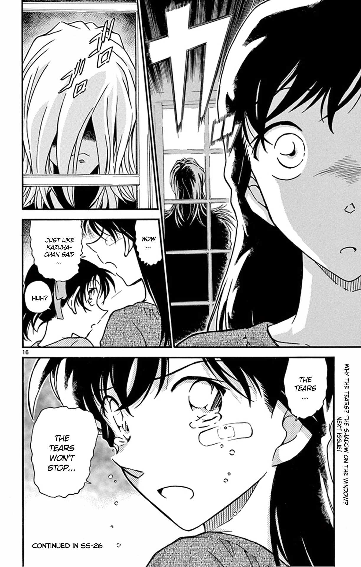 Detective Conan Chapter 650 page 17 - Chapter 650: Endless Tears