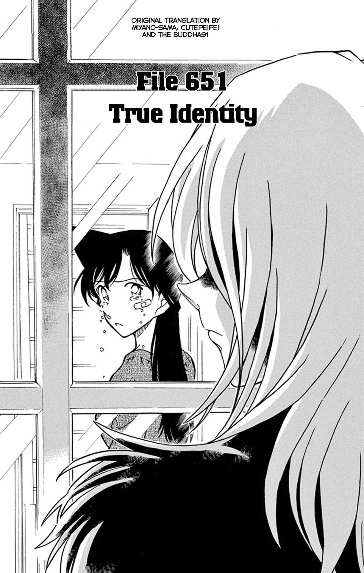 Detective Conan Chapter 651 page 2 - Chapter 651: True Identity