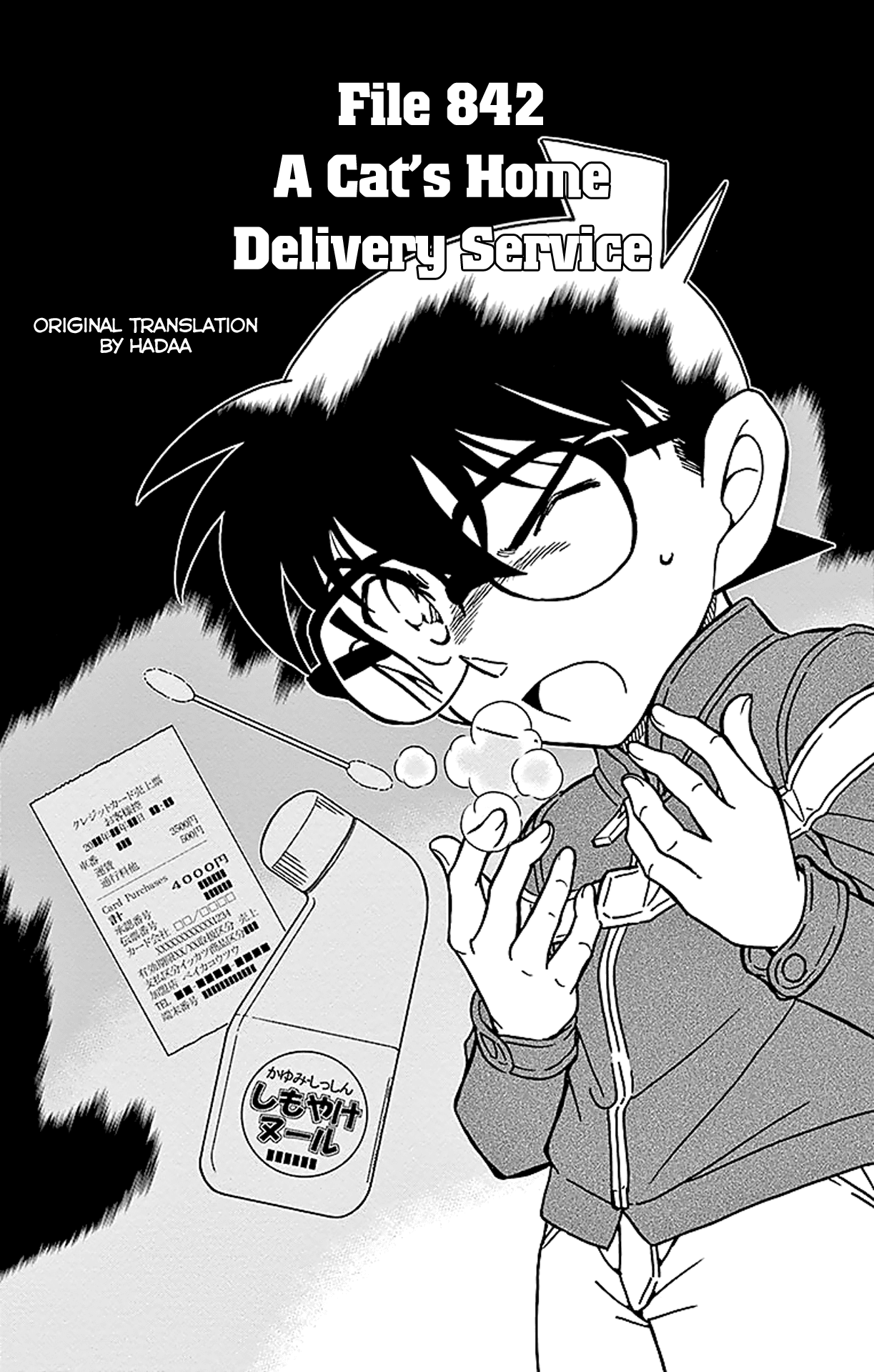 Detective Conan Chapter 842 page 2 - Chapter 842: A Cat's Home Delivery Service