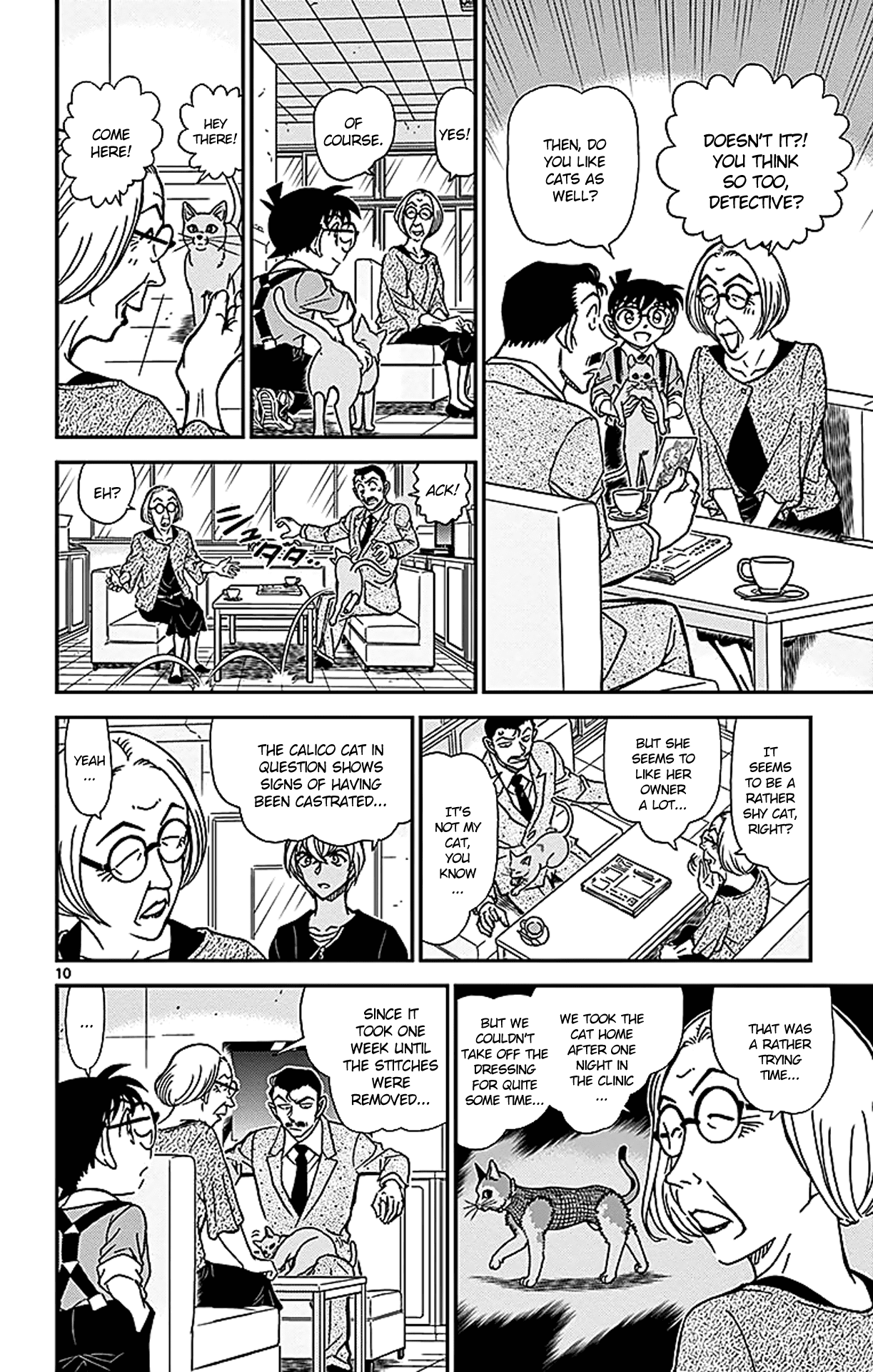 Detective Conan Chapter 865 page 11 - Chapter 865: Taii the Calico Cat