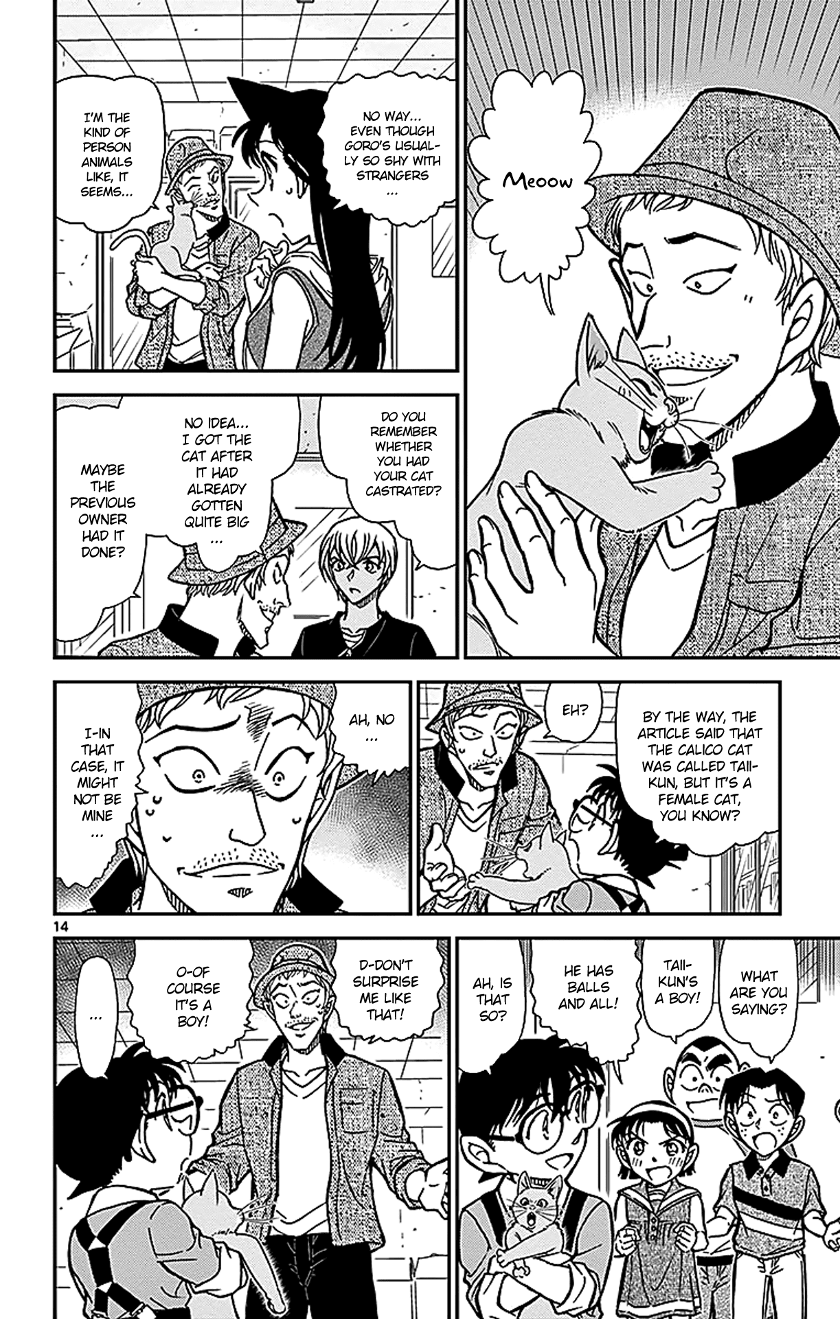 Detective Conan Chapter 865 page 15 - Chapter 865: Taii the Calico Cat