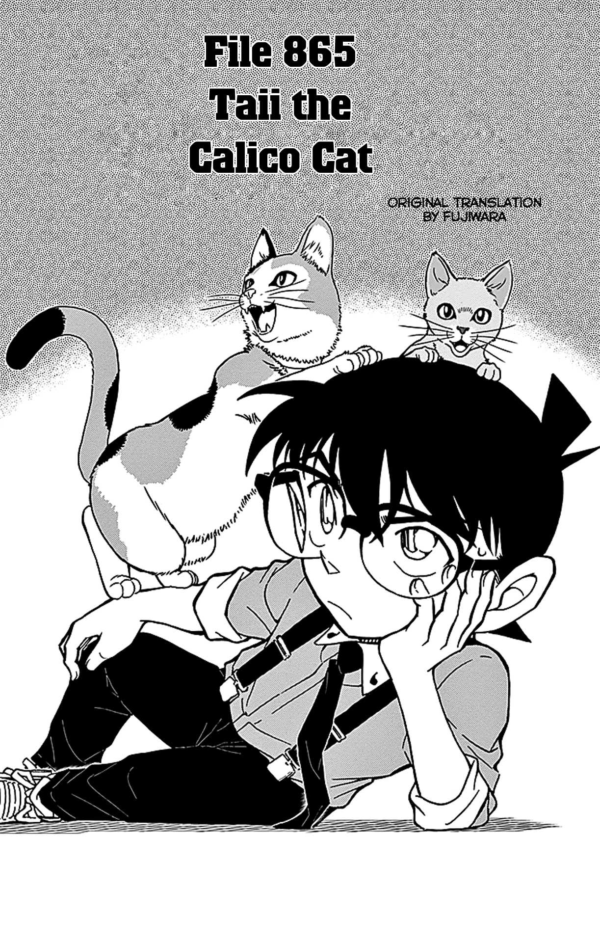 Detective Conan Chapter 865 page 2 - Chapter 865: Taii the Calico Cat