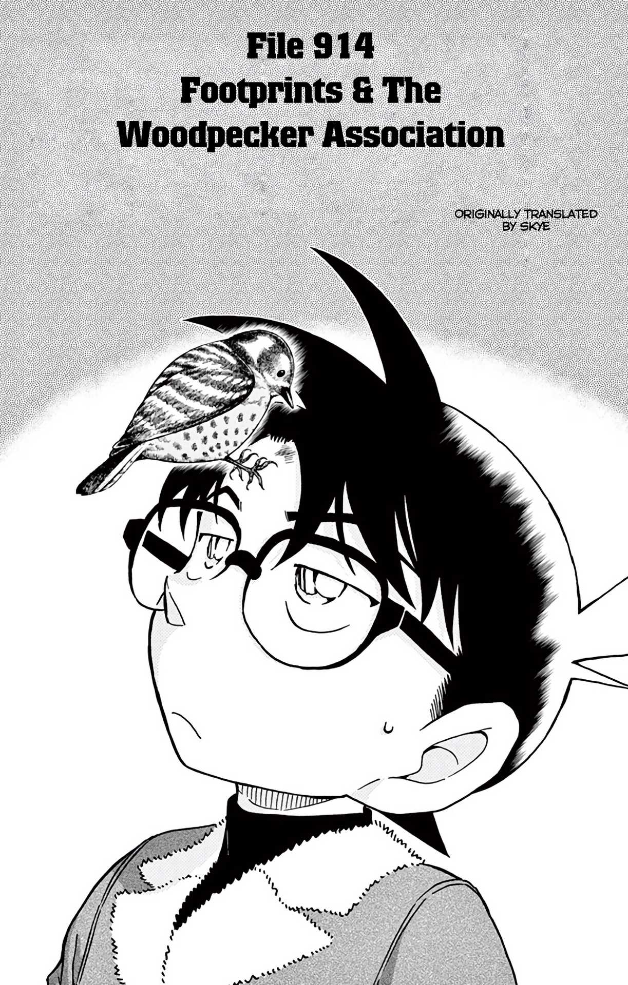 Detective Conan Chapter 914 page 2 - Chapter 914: Footprints & The Woodpecker Association