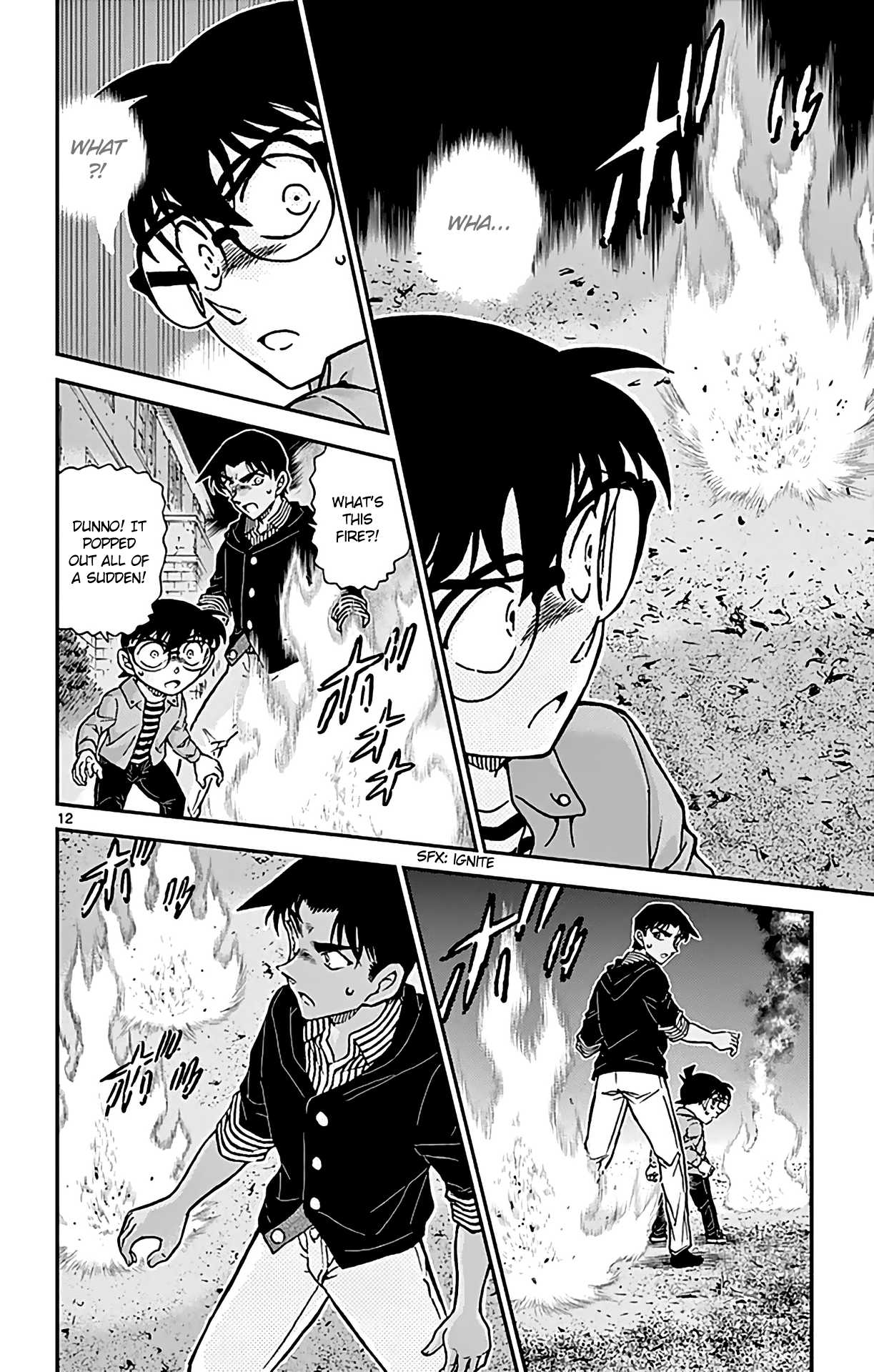 Detective Conan Chapter 960 page 13 - Chapter 960: The Nue's Scars