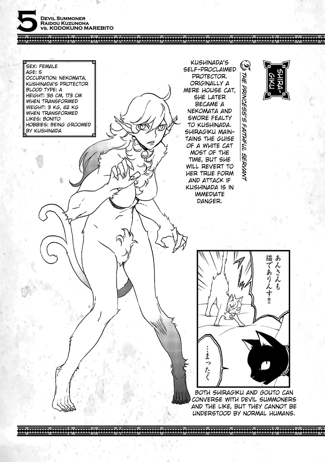 Devil Summoner - Kuzunoha Raidou Tai Kodoku no Marebito Chapter 29.5 page 18 - Chapter 29.5: Character Settings